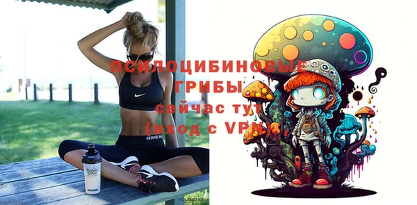 мдпв Киренск