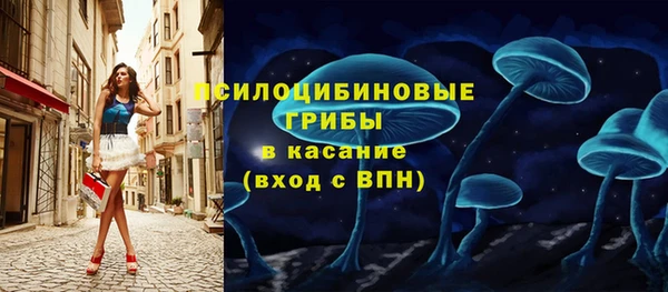 мдпв Киренск