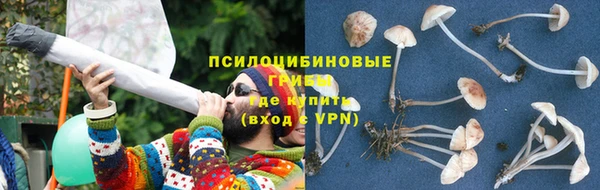 мдпв Киренск