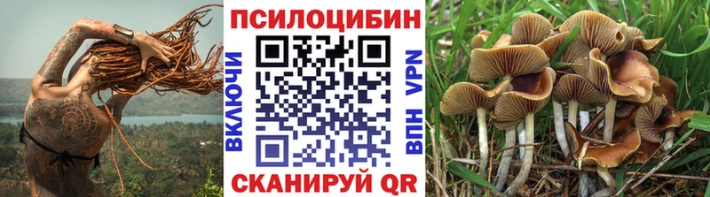 Галлюциногенные грибы мицелий  Купить  Бирск 