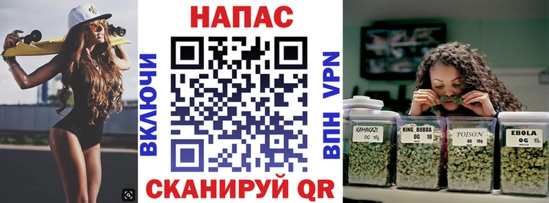 Конопля сатива  Купить закладки  Бирск 